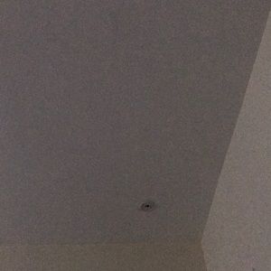 Meet your Posher, Isabela